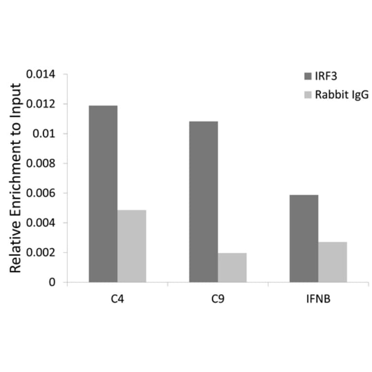 ChImmunoprecipitation - Anti-IRF3 Antibody (A80489) - Antibodies.com