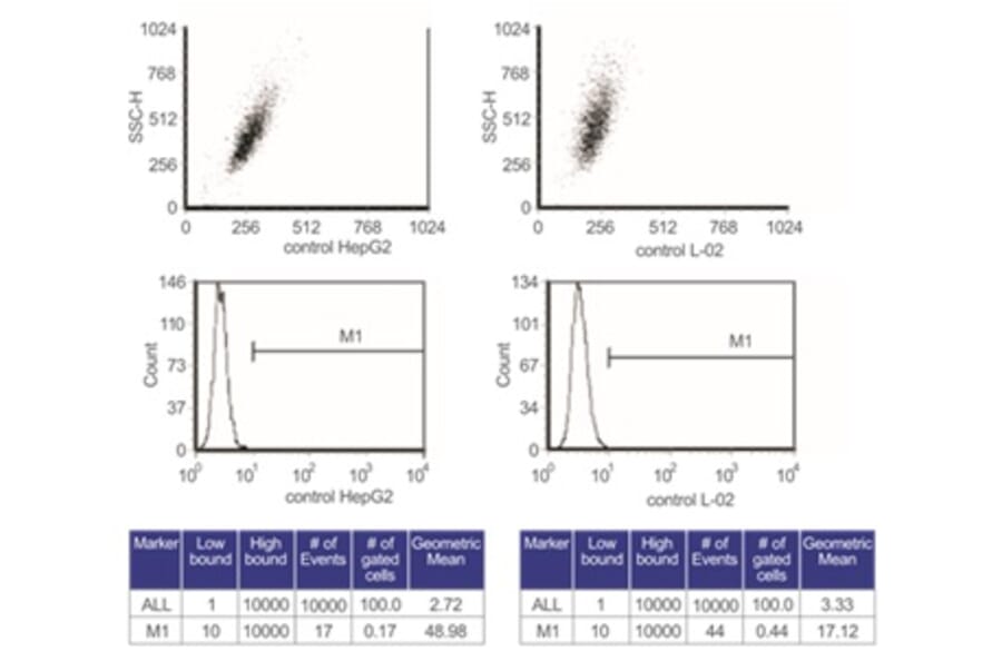 Flow Cytometry - Anti-SAM Antibody from Arthus Biosystems (MA00203) - Antibodies.com