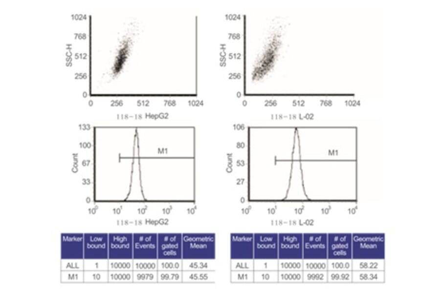 Flow Cytometry - Anti-SAM Antibody from Arthus Biosystems (MA00203) - Antibodies.com