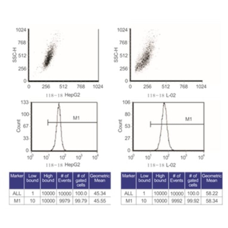 Flow Cytometry - Anti-SAM Antibody from Arthus Biosystems (MA00203) - Antibodies.com