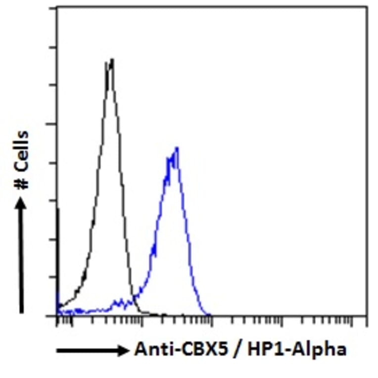 Flow Cytometry - Anti-HP1 alpha Antibody (A82447) - Antibodies.com