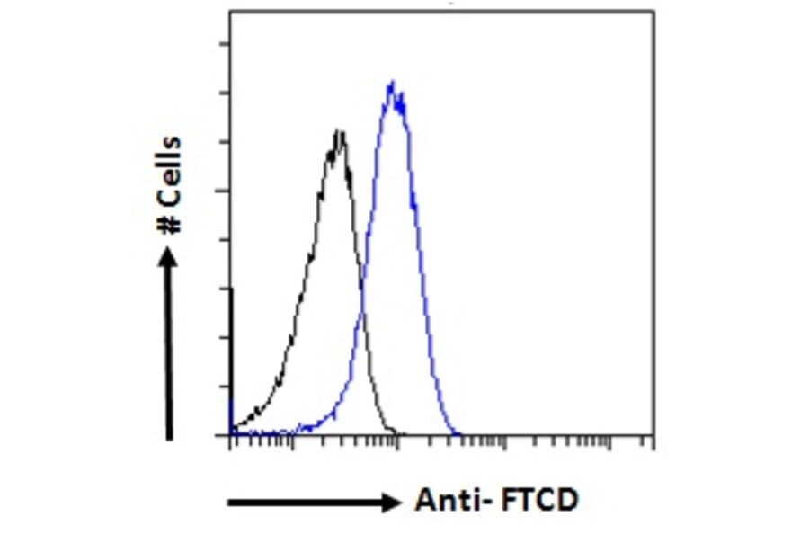 Flow Cytometry - Anti-58K Golgi Protein Antibody (A82449) - Antibodies.com