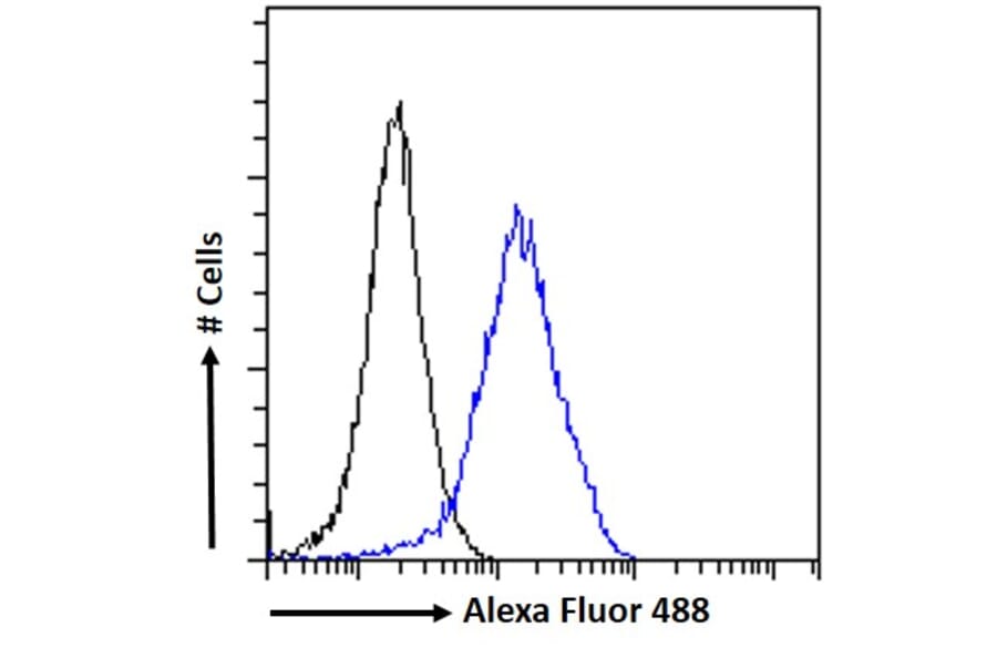 Flow Cytometry - Anti-ARP1 Antibody (A82465) - Antibodies.com