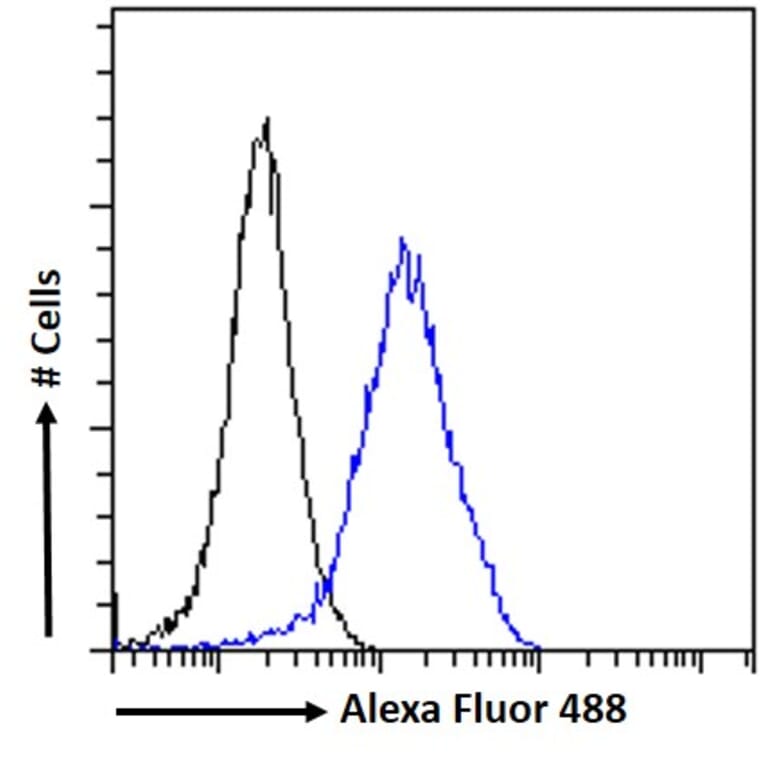 Flow Cytometry - Anti-ARP1 Antibody (A82465) - Antibodies.com