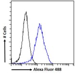 Flow Cytometry - Anti-ARP1 Antibody (A82465) - Antibodies.com