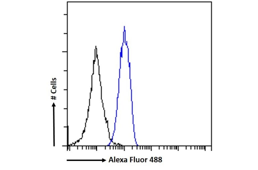 Flow Cytometry - Anti-STAT5a Antibody (A82494) - Antibodies.com