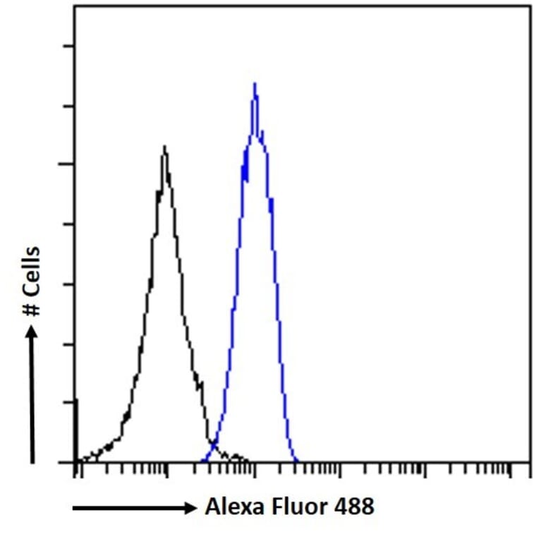 Flow Cytometry - Anti-STAT5a Antibody (A82494) - Antibodies.com