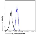 Flow Cytometry - Anti-STAT5a Antibody (A82494) - Antibodies.com