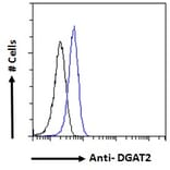 Flow Cytometry - Anti-DGAT2 Antibody (A82499) - Antibodies.com