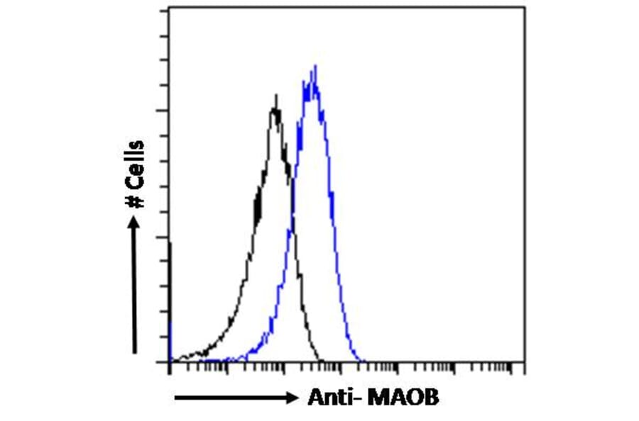 Flow Cytometry - Anti-Monoamine Oxidase B/MAOB Antibody (A82500) - Antibodies.com