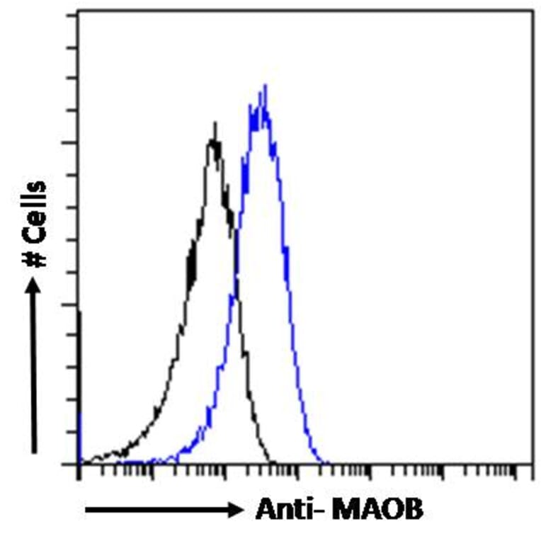 Flow Cytometry - Anti-Monoamine Oxidase B/MAOB Antibody (A82500) - Antibodies.com