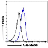 Flow Cytometry - Anti-Monoamine Oxidase B/MAOB Antibody (A82500) - Antibodies.com
