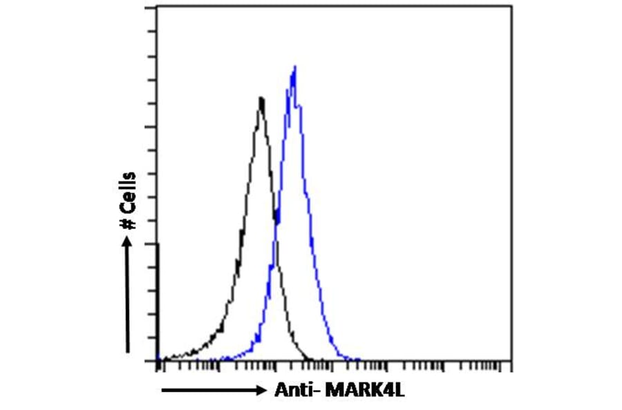 Flow Cytometry - Anti-MARK4 Antibody (A82518) - Antibodies.com