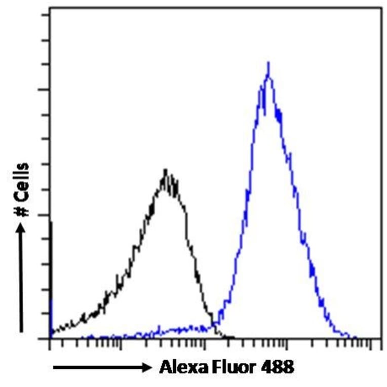 Flow Cytometry - Anti-PD-L1 Antibody (A82538) - Antibodies.com