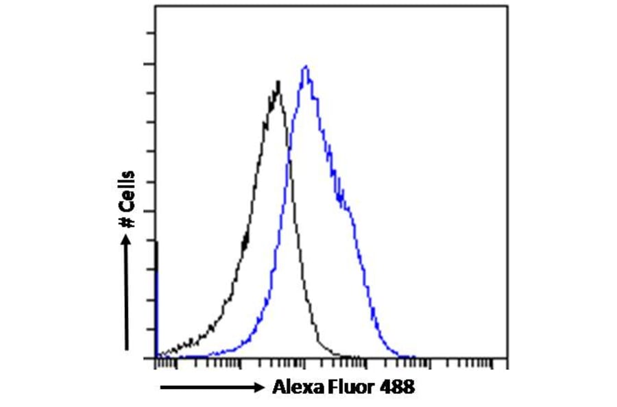 Flow Cytometry - Anti-MyD88 Antibody (A82548) - Antibodies.com