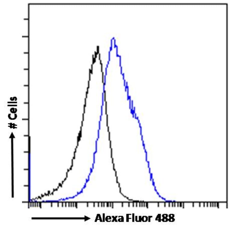 Flow Cytometry - Anti-MyD88 Antibody (A82548) - Antibodies.com