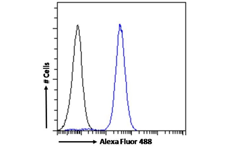 Flow Cytometry - Anti-NCAM1 Antibody (A82568) - Antibodies.com