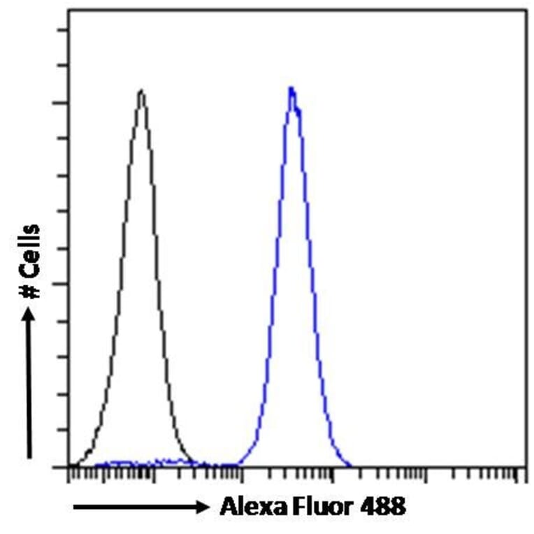 Flow Cytometry - Anti-NCAM1 Antibody (A82568) - Antibodies.com