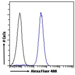 Flow Cytometry - Anti-NCAM1 Antibody (A82568) - Antibodies.com