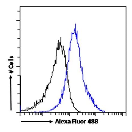 Flow Cytometry - Anti-PMP70 Antibody (A82590) - Antibodies.com