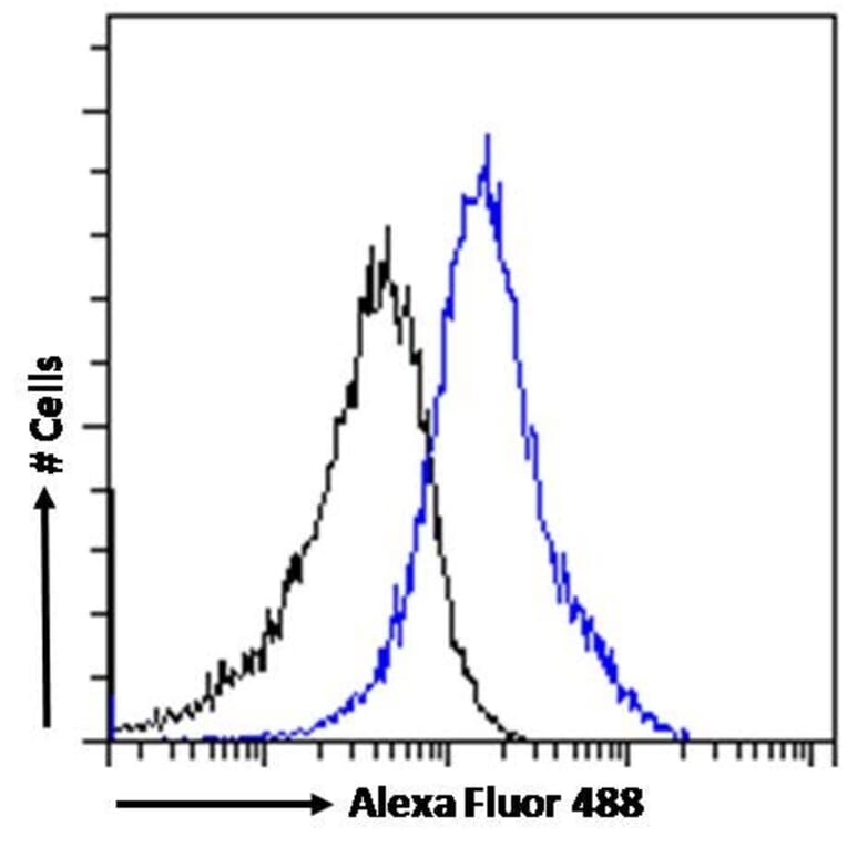 Flow Cytometry - Anti-PMP70 Antibody (A82590) - Antibodies.com