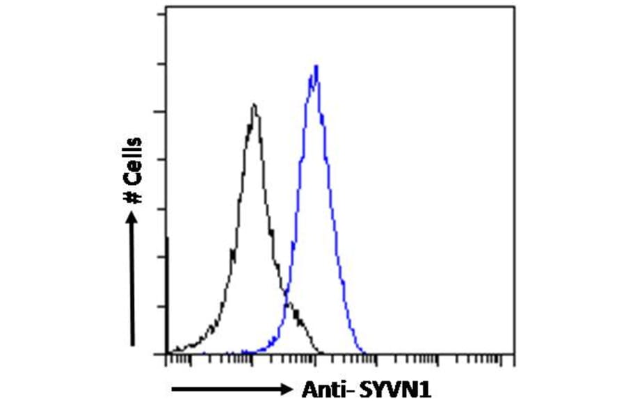 Flow Cytometry - Anti-SYVN1/HRD1 Antibody (A82599) - Antibodies.com
