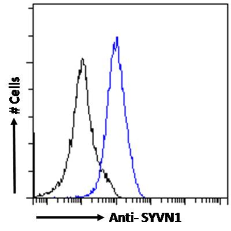 Flow Cytometry - Anti-SYVN1/HRD1 Antibody (A82599) - Antibodies.com