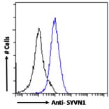 Flow Cytometry - Anti-SYVN1/HRD1 Antibody (A82599) - Antibodies.com