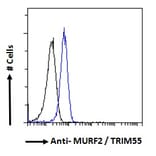 Flow Cytometry - Anti-MURF2 Antibody (A82605) - Antibodies.com
