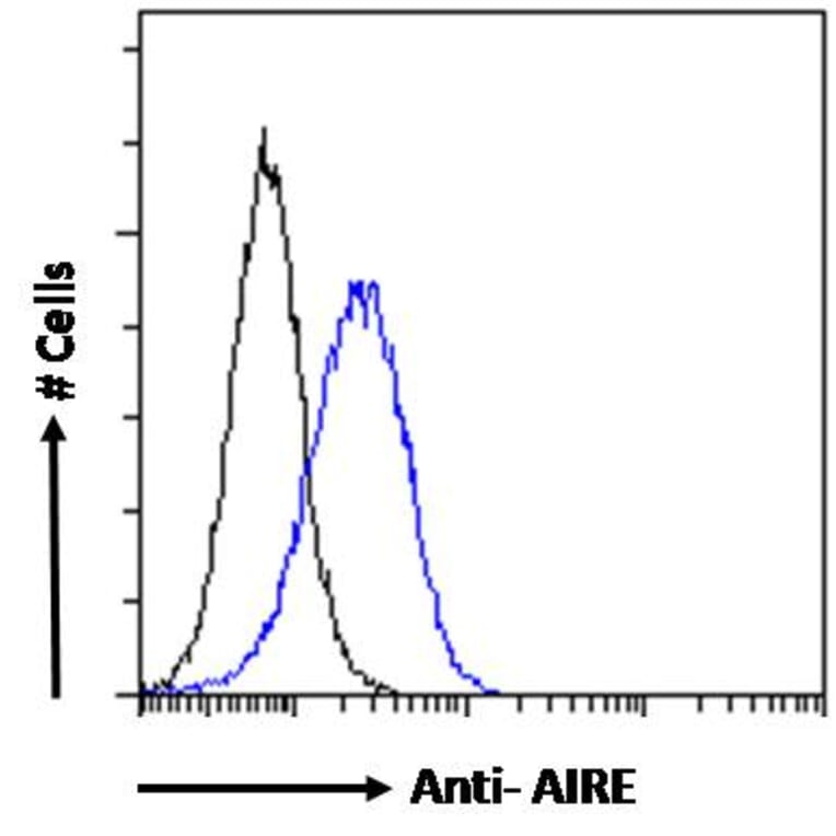 Flow Cytometry - Anti-AIRE Antibody (A82607) - Antibodies.com