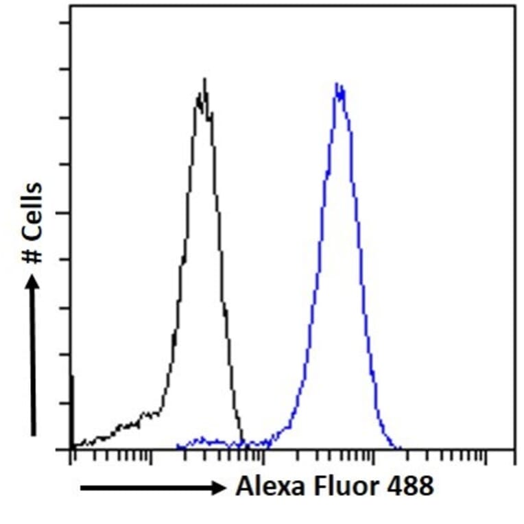 Flow Cytometry - Anti-GAD67 Antibody (A82616) - Antibodies.com