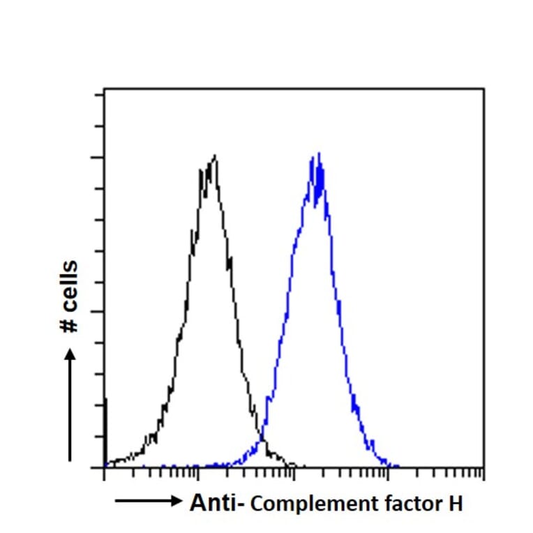 Flow Cytometry - Anti-Factor H Antibody (A82643) - Antibodies.com