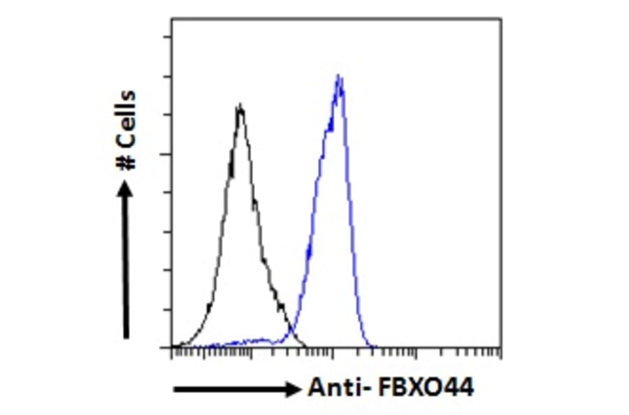 Flow Cytometry - Anti-FBXO44 Antibody (A82647) - Antibodies.com
