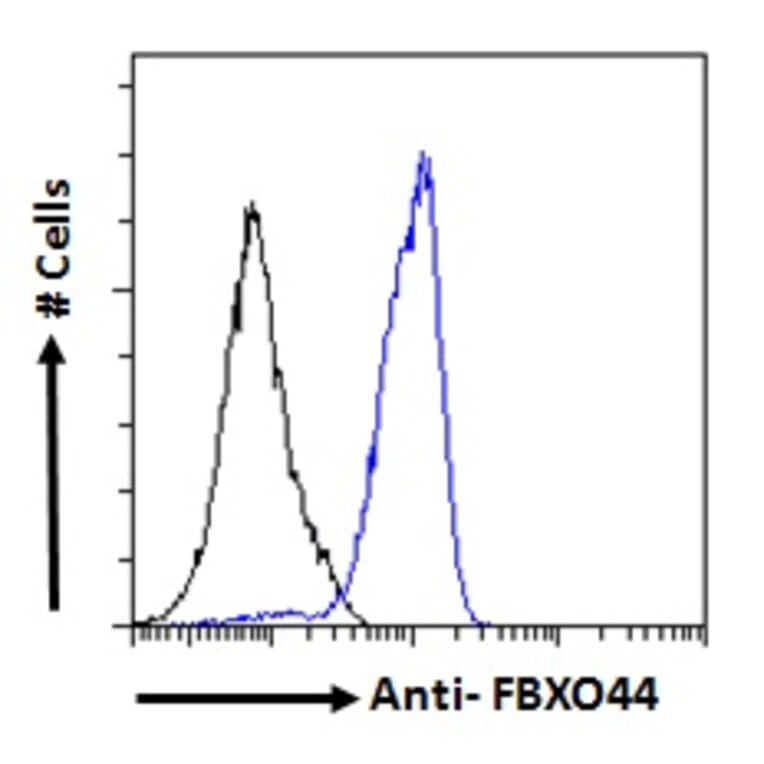 Flow Cytometry - Anti-FBXO44 Antibody (A82647) - Antibodies.com