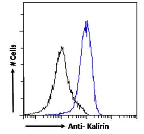 Flow Cytometry - Anti-Kalirin Antibody (A82649) - Antibodies.com