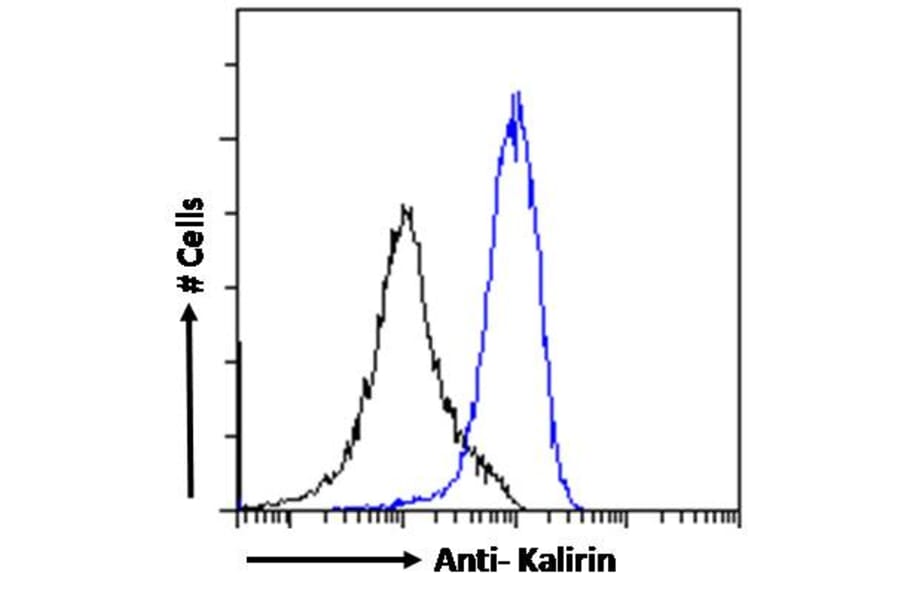 Flow Cytometry - Anti-Kalirin Antibody (A82649) - Antibodies.com