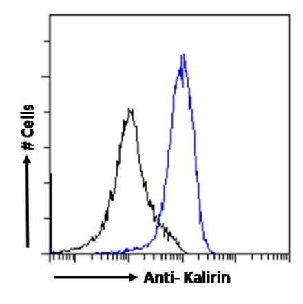 Flow Cytometry - Anti-Kalirin Antibody (A82649) - Antibodies.com