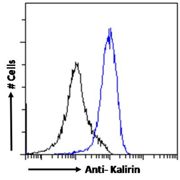 Flow Cytometry - Anti-Kalirin Antibody (A82649) - Antibodies.com