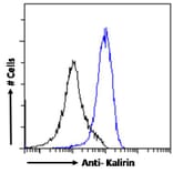 Flow Cytometry - Anti-Kalirin Antibody (A82649) - Antibodies.com