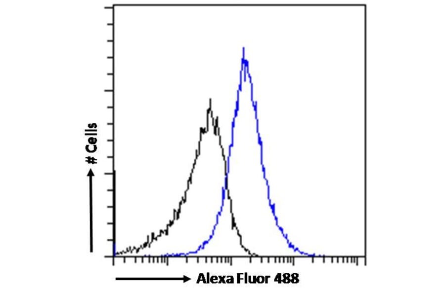 Flow Cytometry - Anti-SPAG16 Antibody (A82659) - Antibodies.com