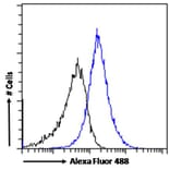 Flow Cytometry - Anti-SPAG16 Antibody (A82659) - Antibodies.com