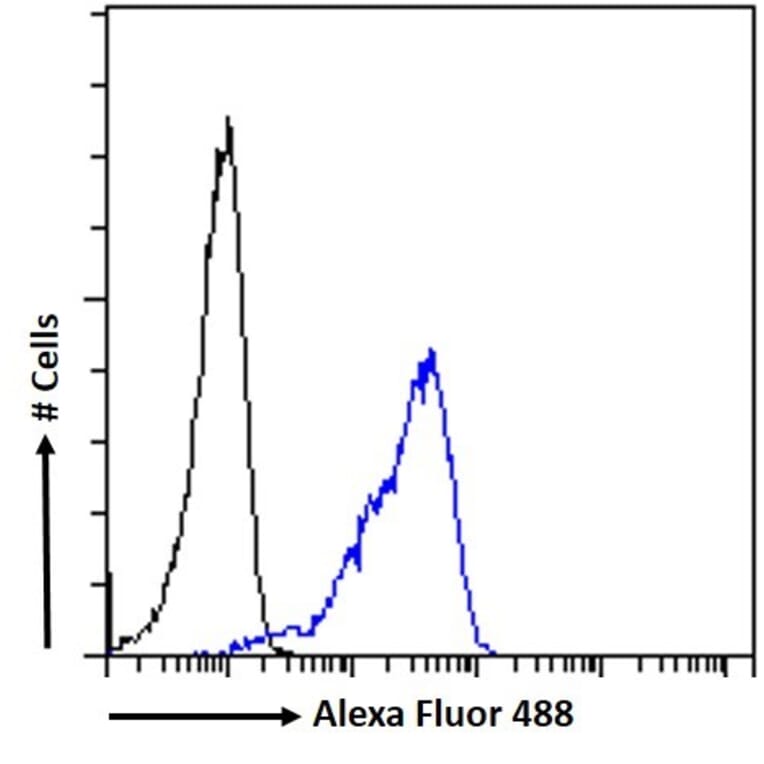 Flow Cytometry - Anti-SEPT4 Antibody (A82695) - Antibodies.com