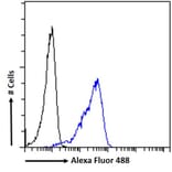 Flow Cytometry - Anti-SEPT4 Antibody (A82695) - Antibodies.com