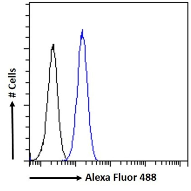 Flow Cytometry - Anti-CCM2 Antibody (A82712) - Antibodies.com