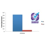 ChIP - Anti-Androgen Receptor Antibody (A82721) - Antibodies.com