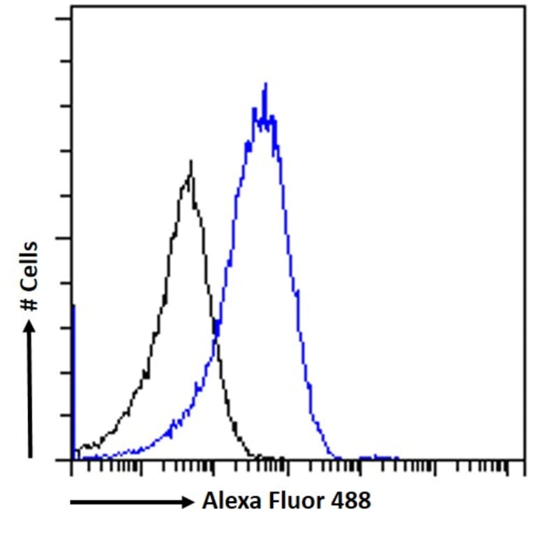 Flow Cytometry - Anti-DAG1 Antibody (A82725) - Antibodies.com