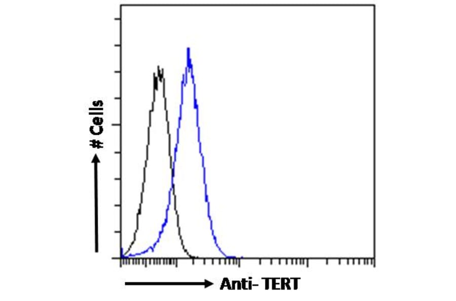 Flow Cytometry - Anti-Telomerase Reverse Transcriptase Antibody (A82735) - Antibodies.com