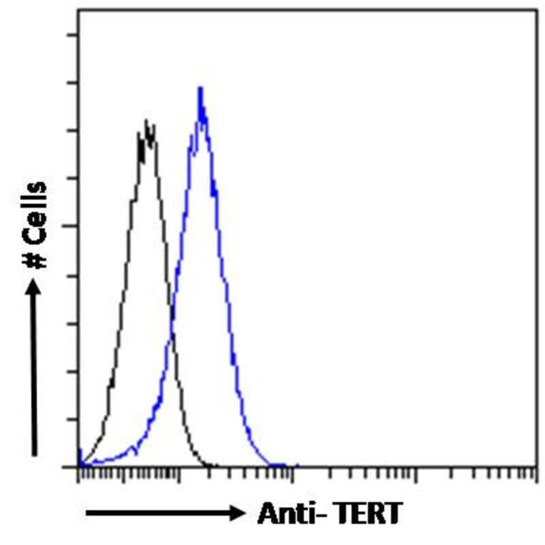Flow Cytometry - Anti-Telomerase Reverse Transcriptase Antibody (A82735) - Antibodies.com