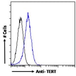 Flow Cytometry - Anti-Telomerase Reverse Transcriptase Antibody (A82735) - Antibodies.com