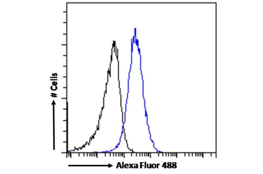 Flow Cytometry - Anti-MRP8 Antibody (A82762) - Antibodies.com
